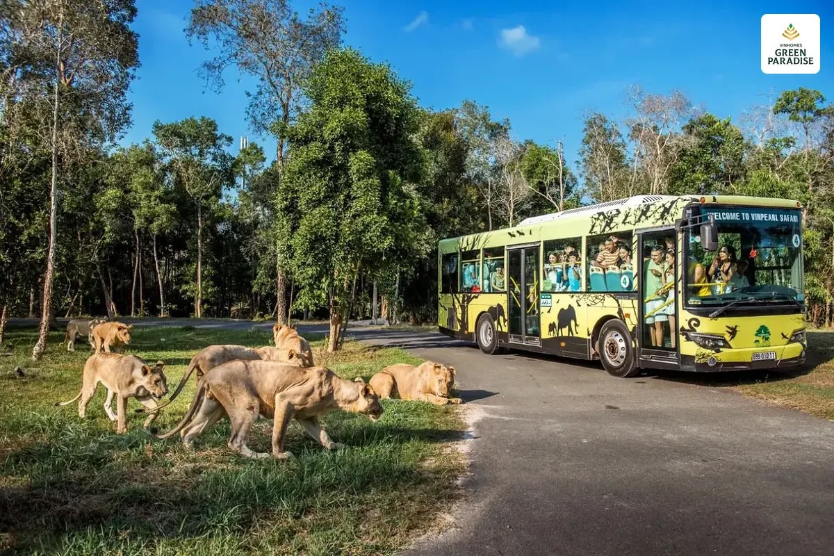 Safari Vinhomes Cần Giờ - Khu sinh thái độc đáo ven biển