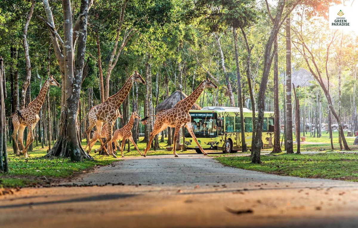 Safari Vinhomes Cần Giờ - Khu trải nghiệm sinh thái trong đại đô thị